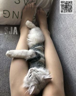 冰血暴第一季在线_BD韩语手机在线观看