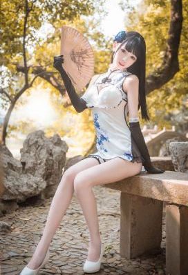 可可西里的美丽传说_高清在线播放观看