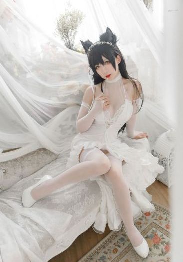 小老虎电影_蓝光电视剧在线观看