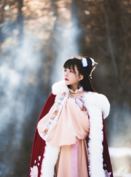 好妻子电视剧全集在线免费观看_BD手机在线看