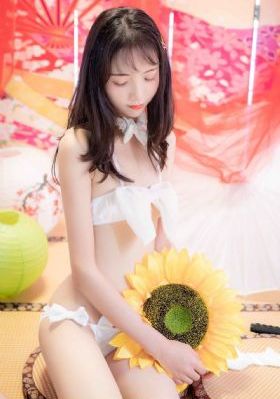 天地风云录之九龙变_DVD神马在线观看